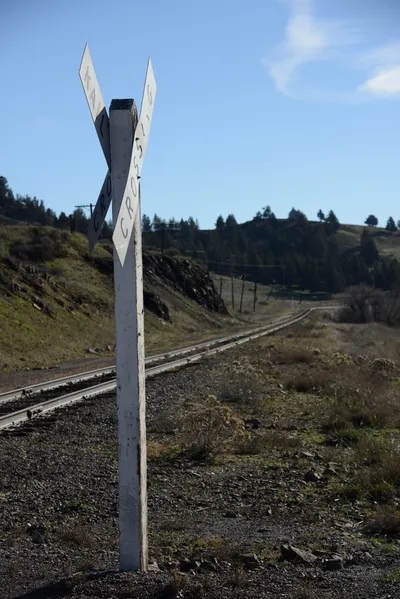 DSC_1085 (Large).JPG